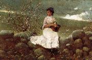 Winslow Homer Peach bloom oil